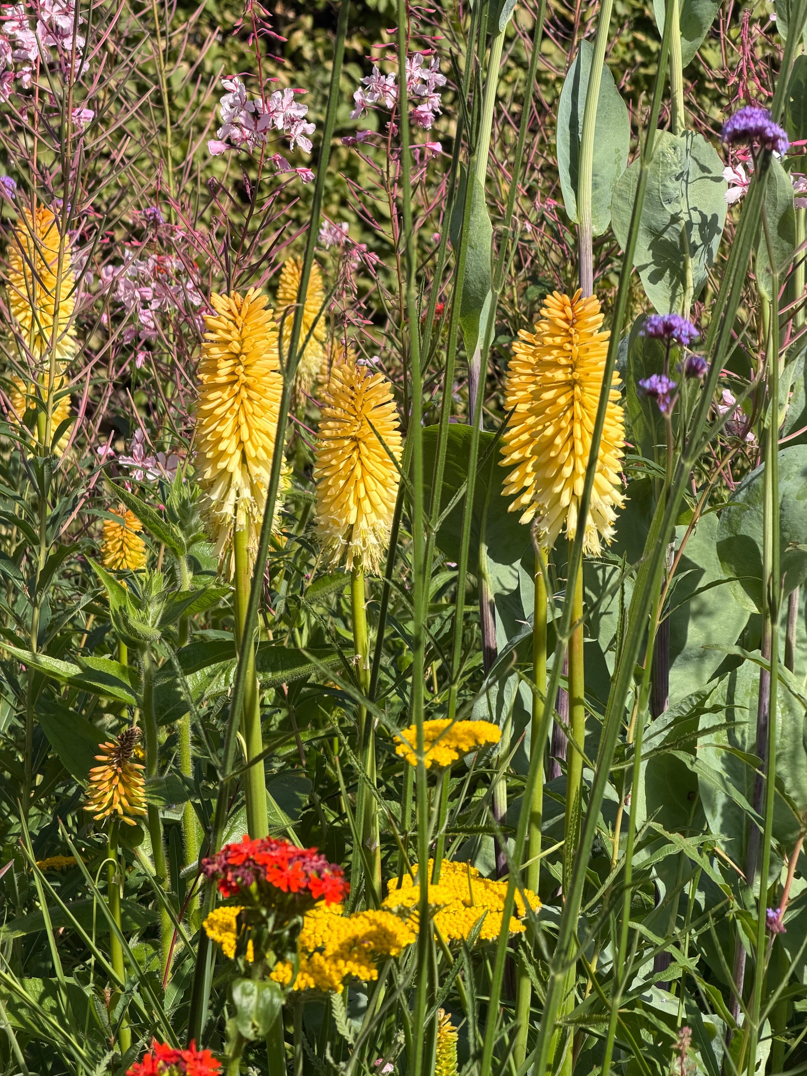 Closeup van zomer border Rijksmuseum Amsterdam