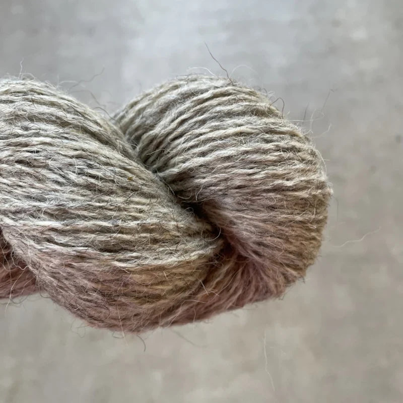 Drentewol