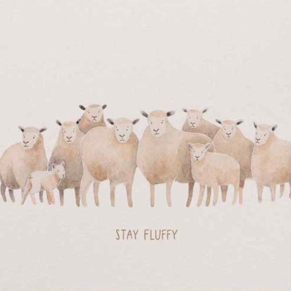 Ansichtkaart met een aquarel van een groep schapen die je aankijken met de tekst Stay Fluffy daaronder