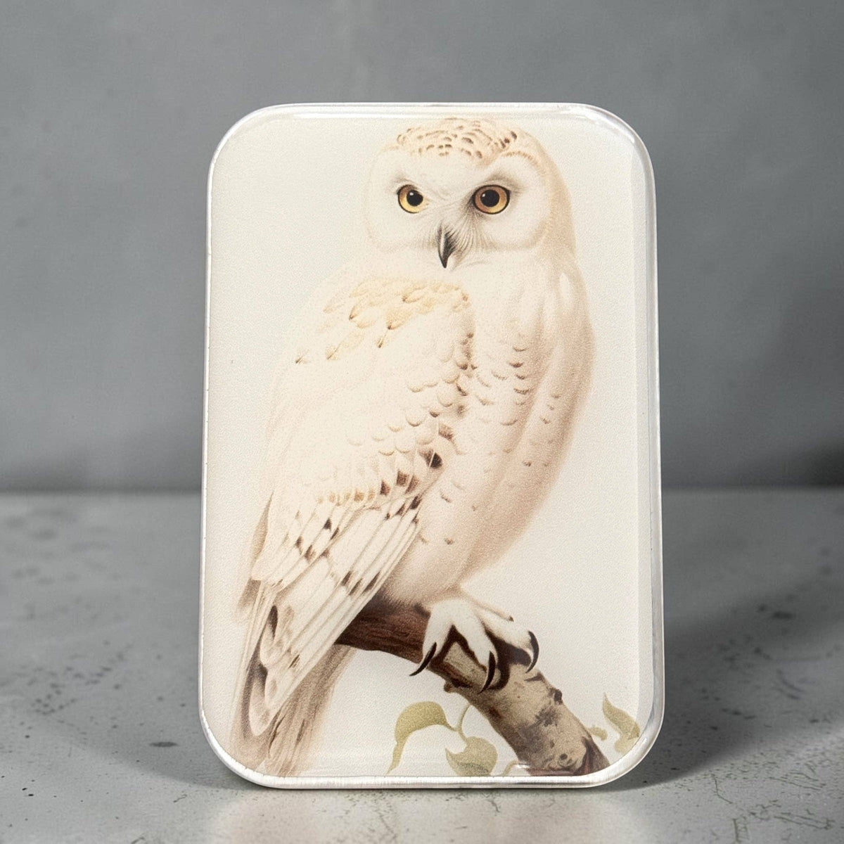 Snowy Owl Notions Tin - FireFly Notes