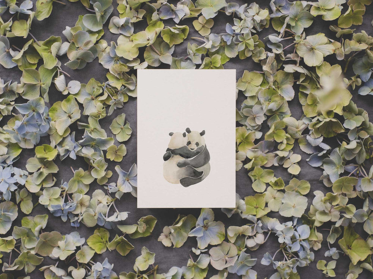 Panda Knuffel | Ansichtkaart