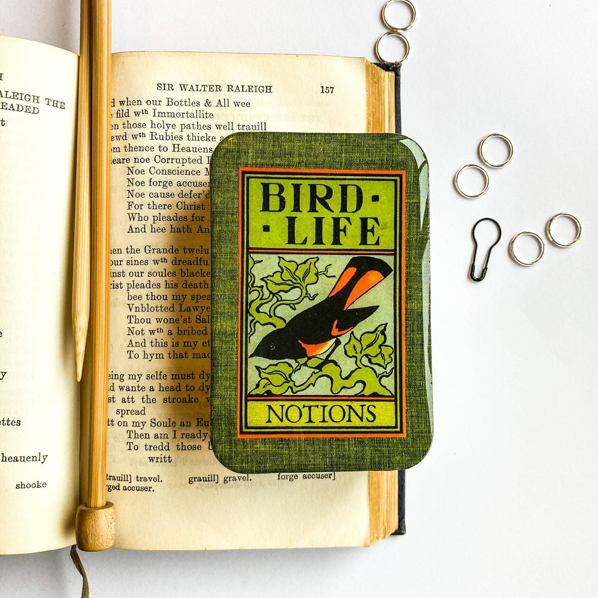 Firefly Notions Tin - Birdlife