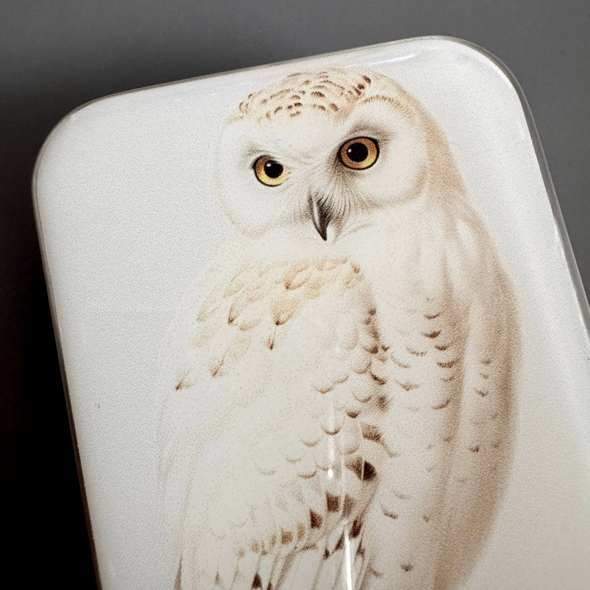 Snowy Owl Notions Tin - FireFly Notes