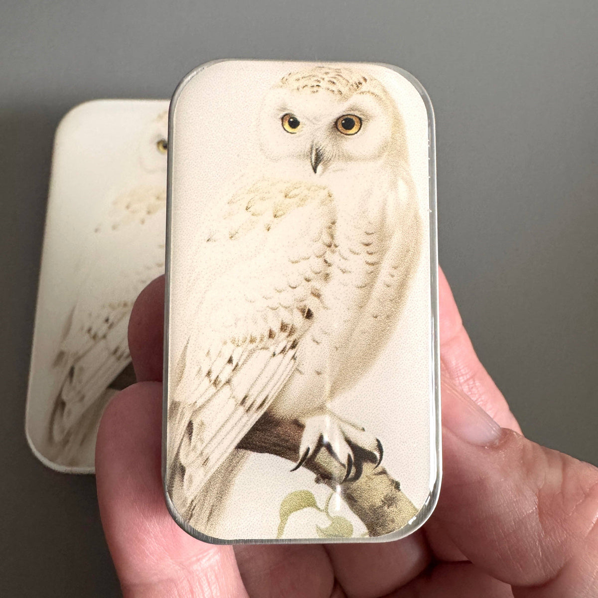 Snowy Owl Notions Tin - FireFly Notes