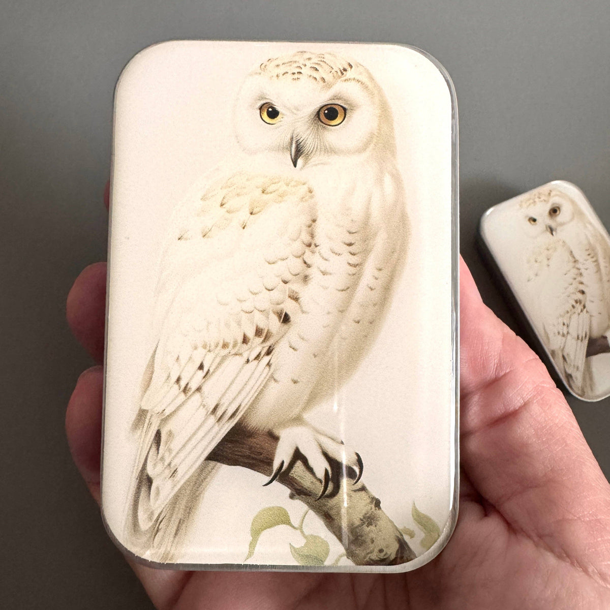 Snowy Owl Notions Tin - FireFly Notes