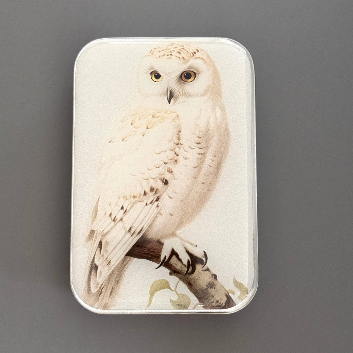 Snowy Owl Notions Tin - FireFly Notes