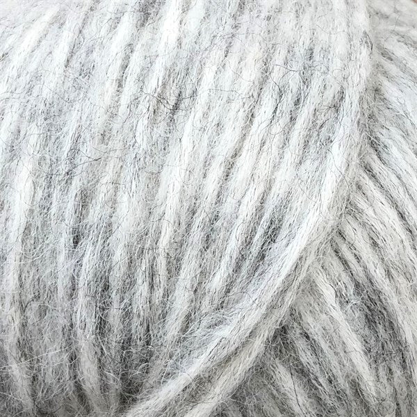 Closeup van bol Snefnug Natur kleur Muisgrijs