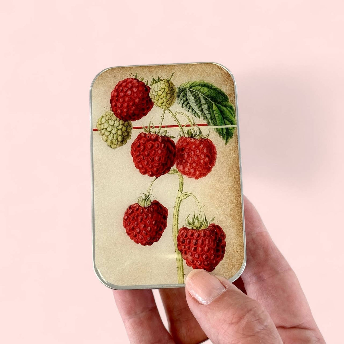 FireFly Notions Tin - Raspberry groot