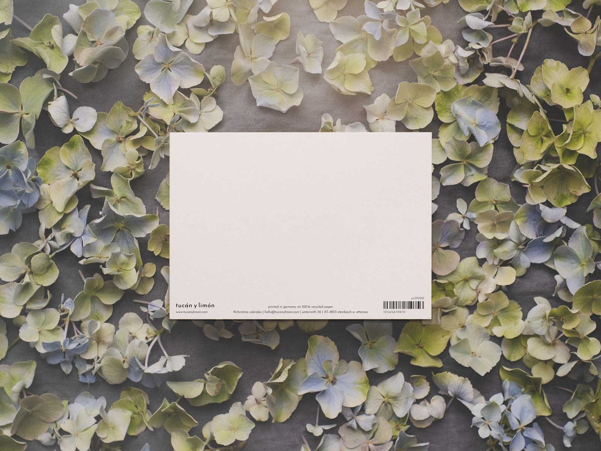 Luiaard | postkaart