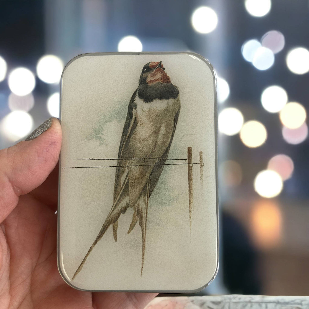Vintage French Swallow Notion Tin -  Firefly Notes