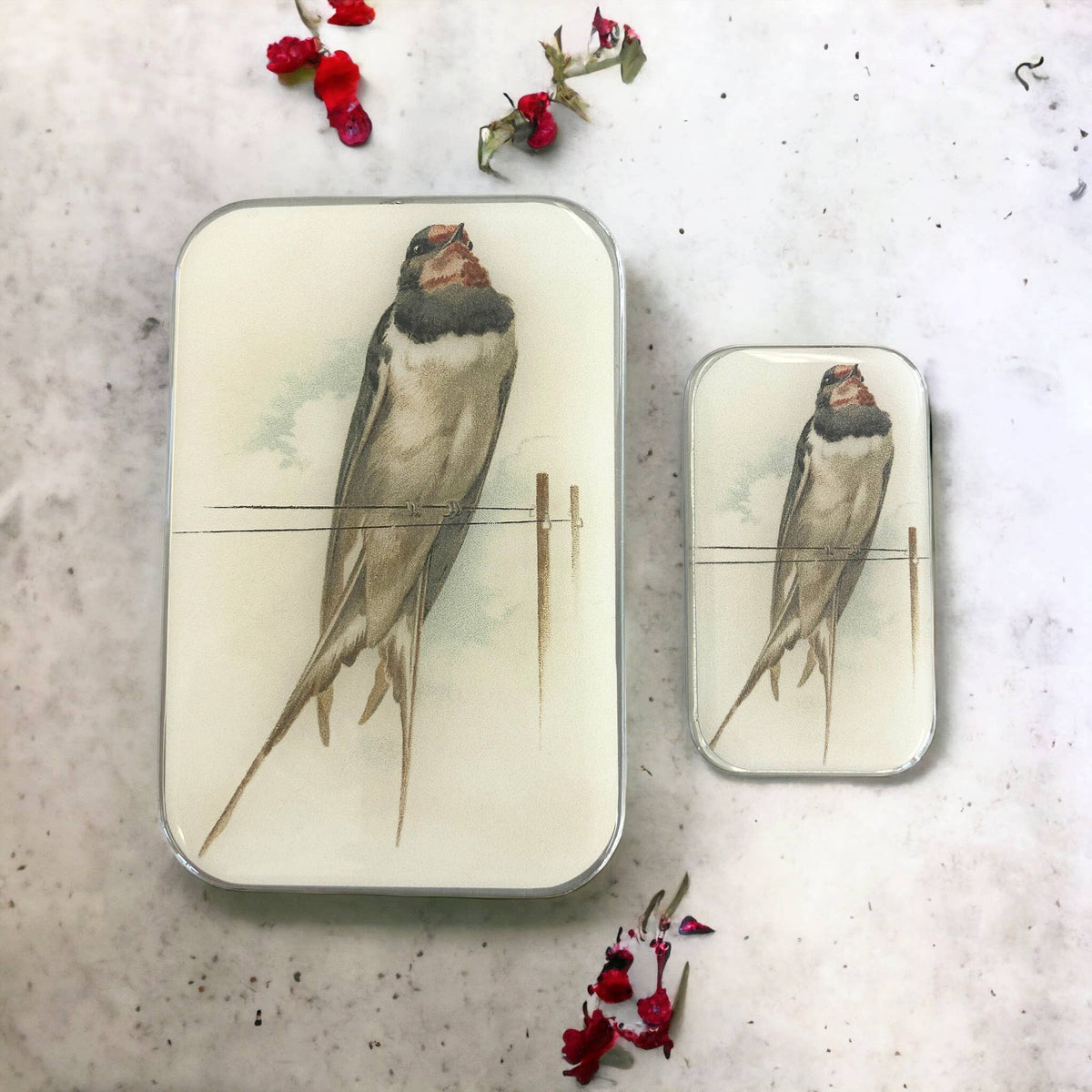 Vintage French Swallow Notion Tin -  Firefly Notes