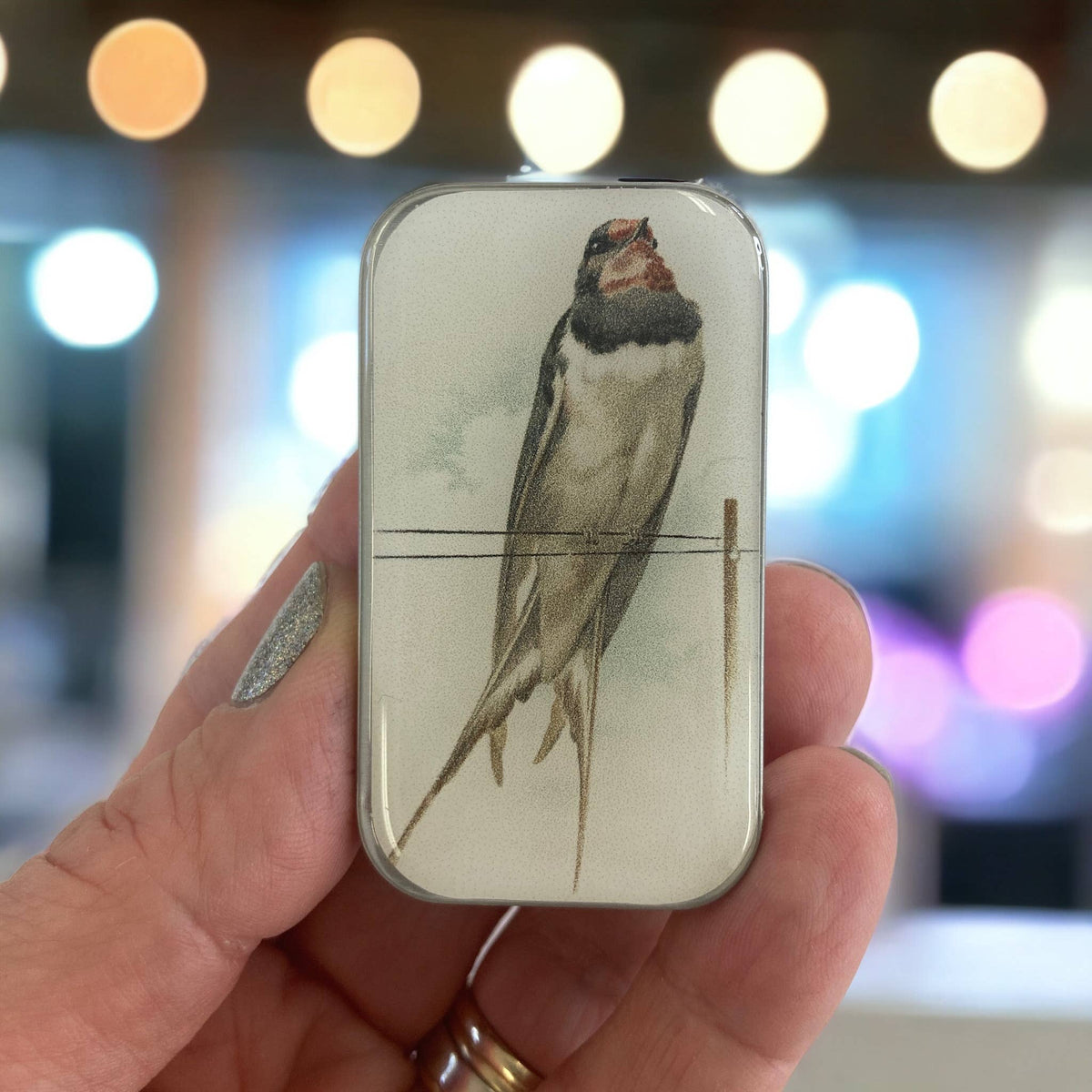 Vintage French Swallow Notion Tin -  Firefly Notes