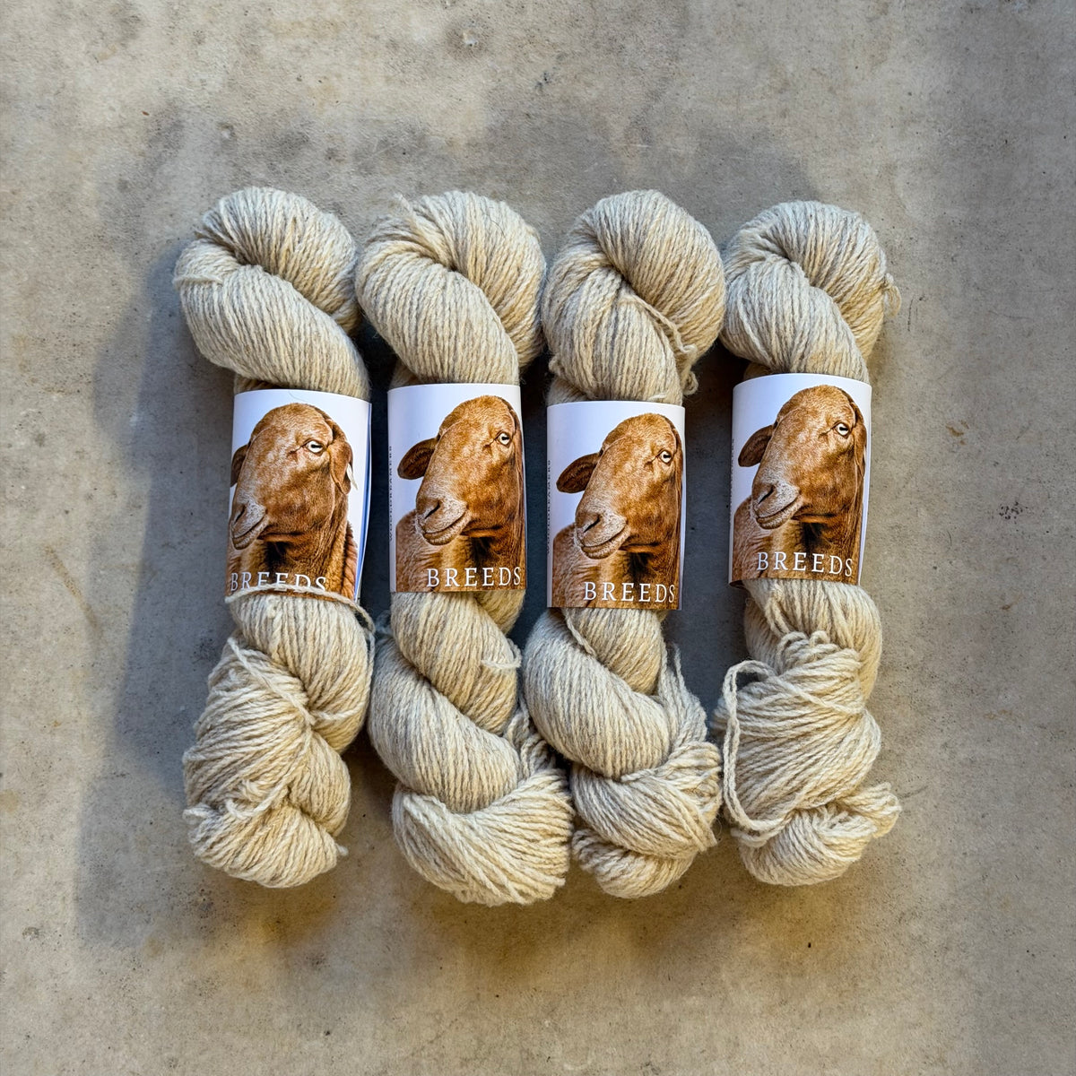 Wool Dreamers Breeds - Roja Mallorquina