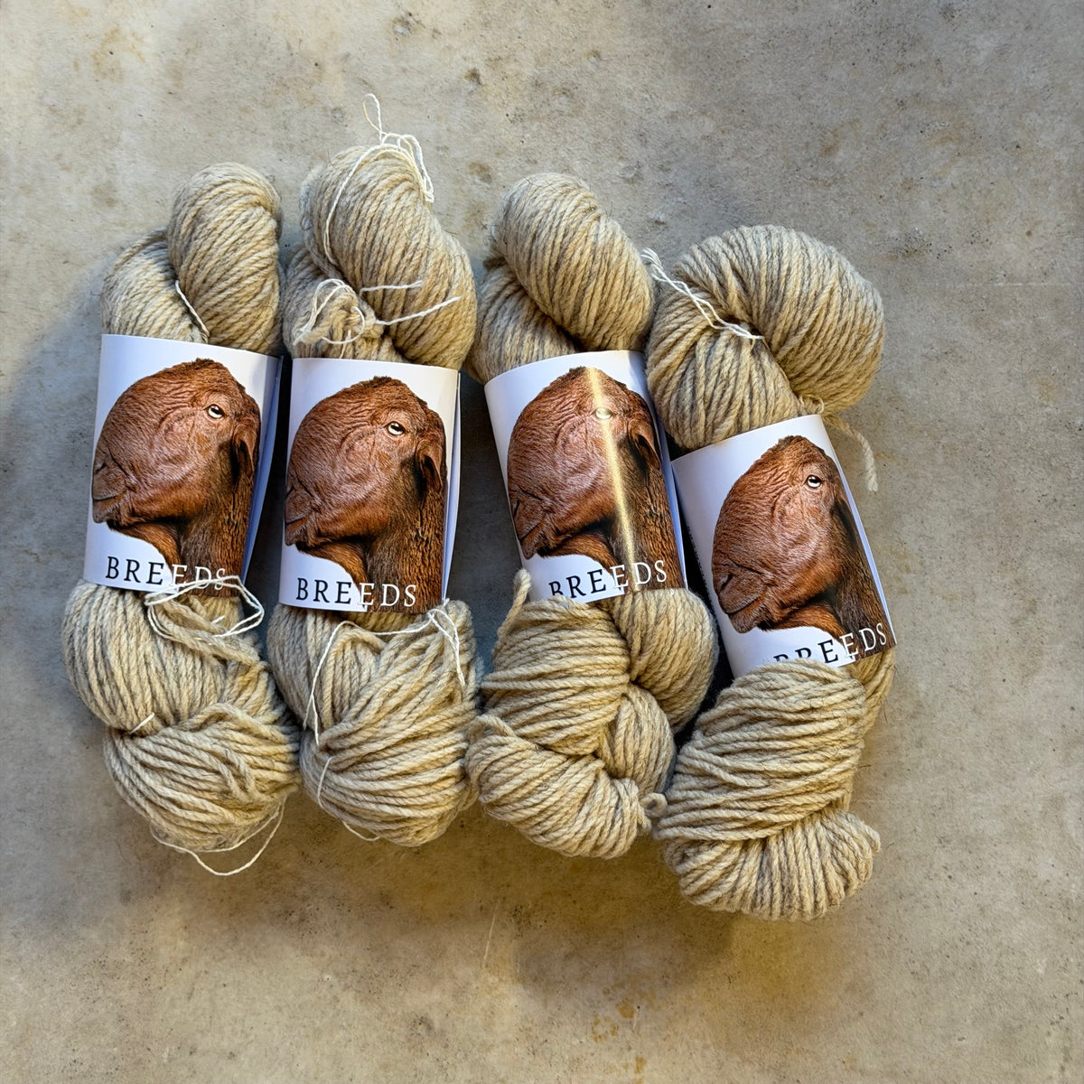 Wool Dreamers Breeds -  Guirra