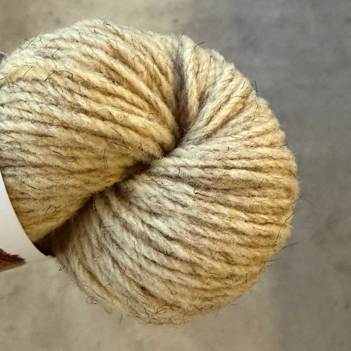 Wool Dreamers Breeds -  Guirra