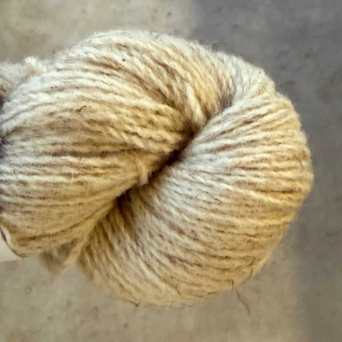 Wool Dreamers Breeds - Roja Mallorquina