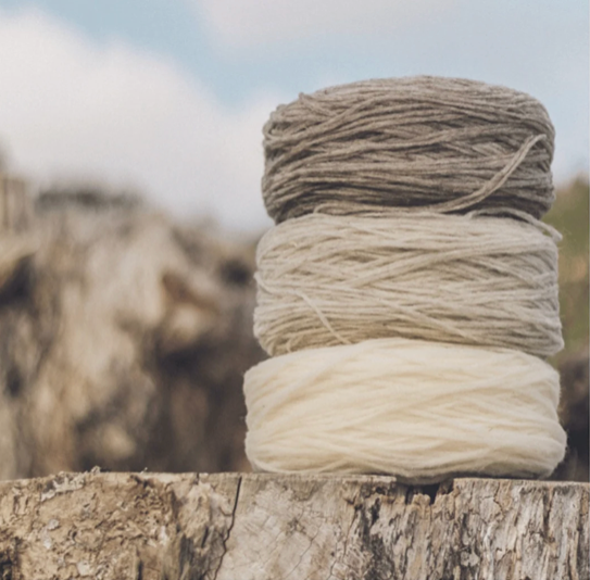 Wool Dreamers - Manchelopis