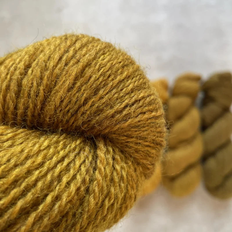 Wol Verhalen - Rustic Sport