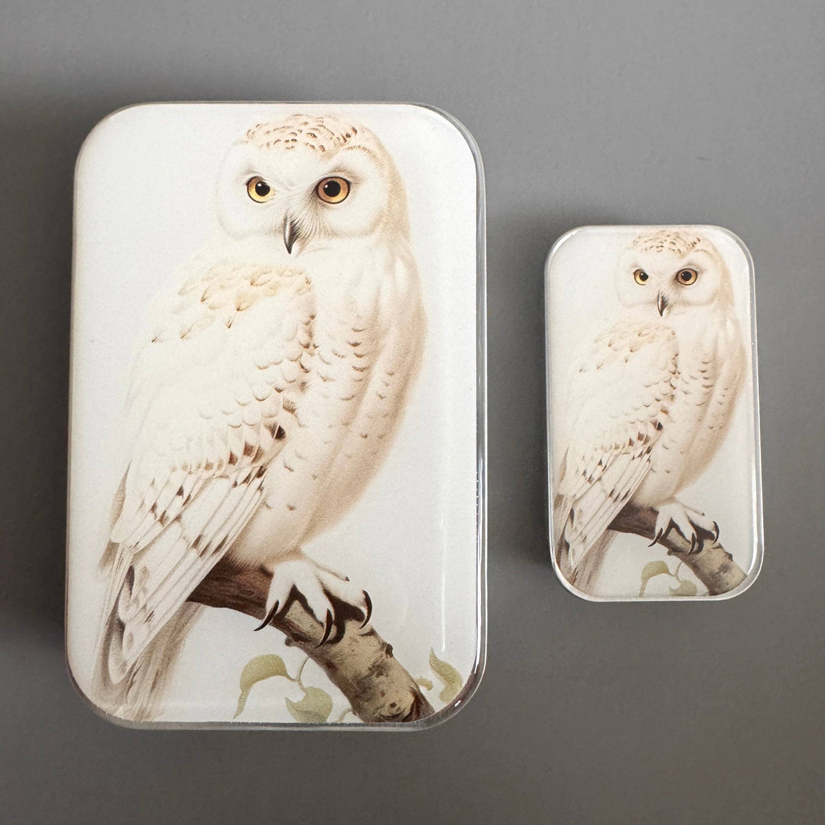 Snowy Owl Notions Tin - FireFly Notes