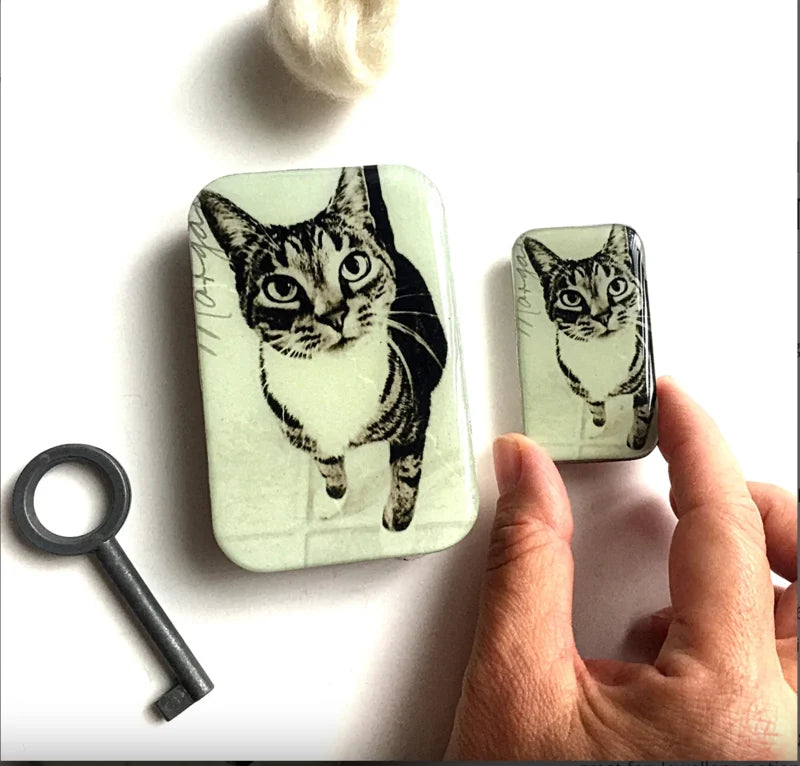 FireFly Notions Tin - Cat
