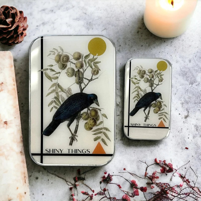 FireFly Notions Tin - Shiny Things