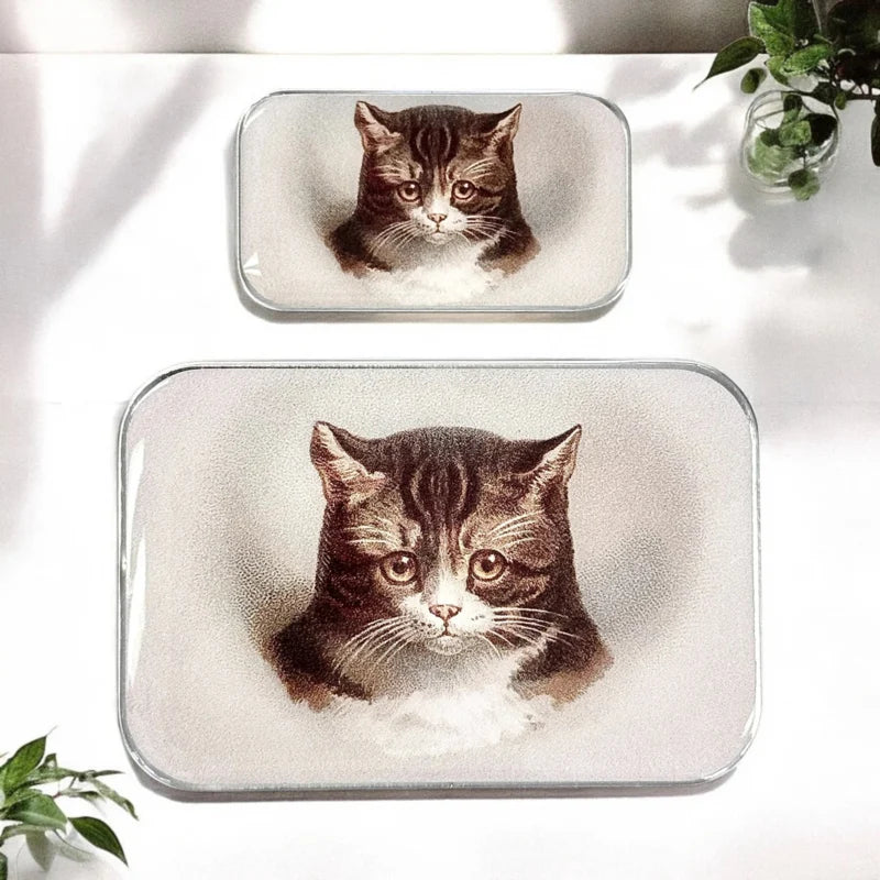 FireFly Notions Tin - Vintage Cat