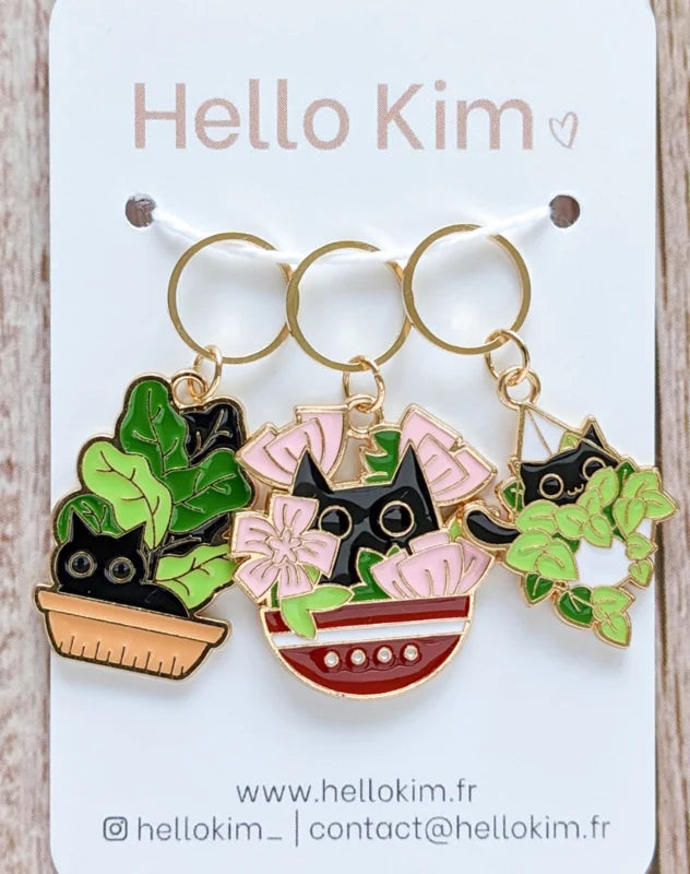 Hello Kim- Chats Sauvages